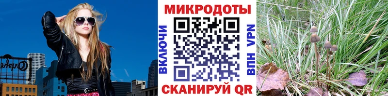 хочу Ейск hydra ONION Псилоцибиновые грибы GOLDEN TEACHER