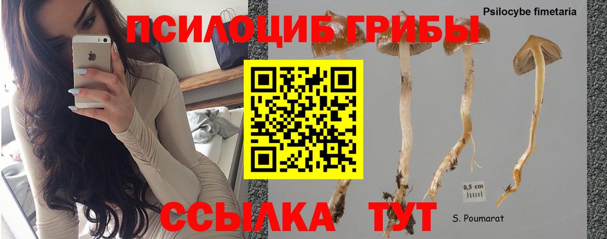 Галлюциногенные грибы мицелий Ейск