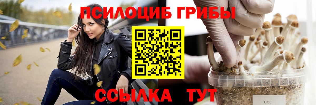 Псилоцибиновые грибы мицелий  Ейск 